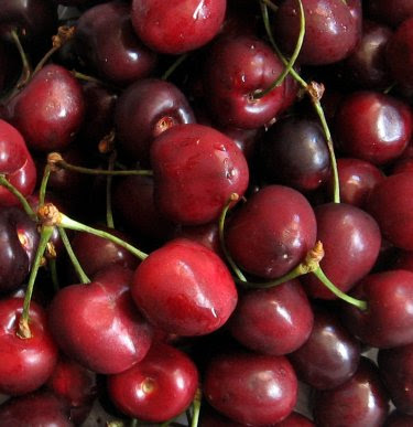 fresh sweet cherries