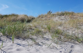 Urlaub in Dänemark: Verliebt in die nördliche Ostseeküste. Nordjütlands Ostseeküste hat eine tolle Dünenlandschaft und breite Sandstrände.