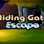 Sliding Gate Escape