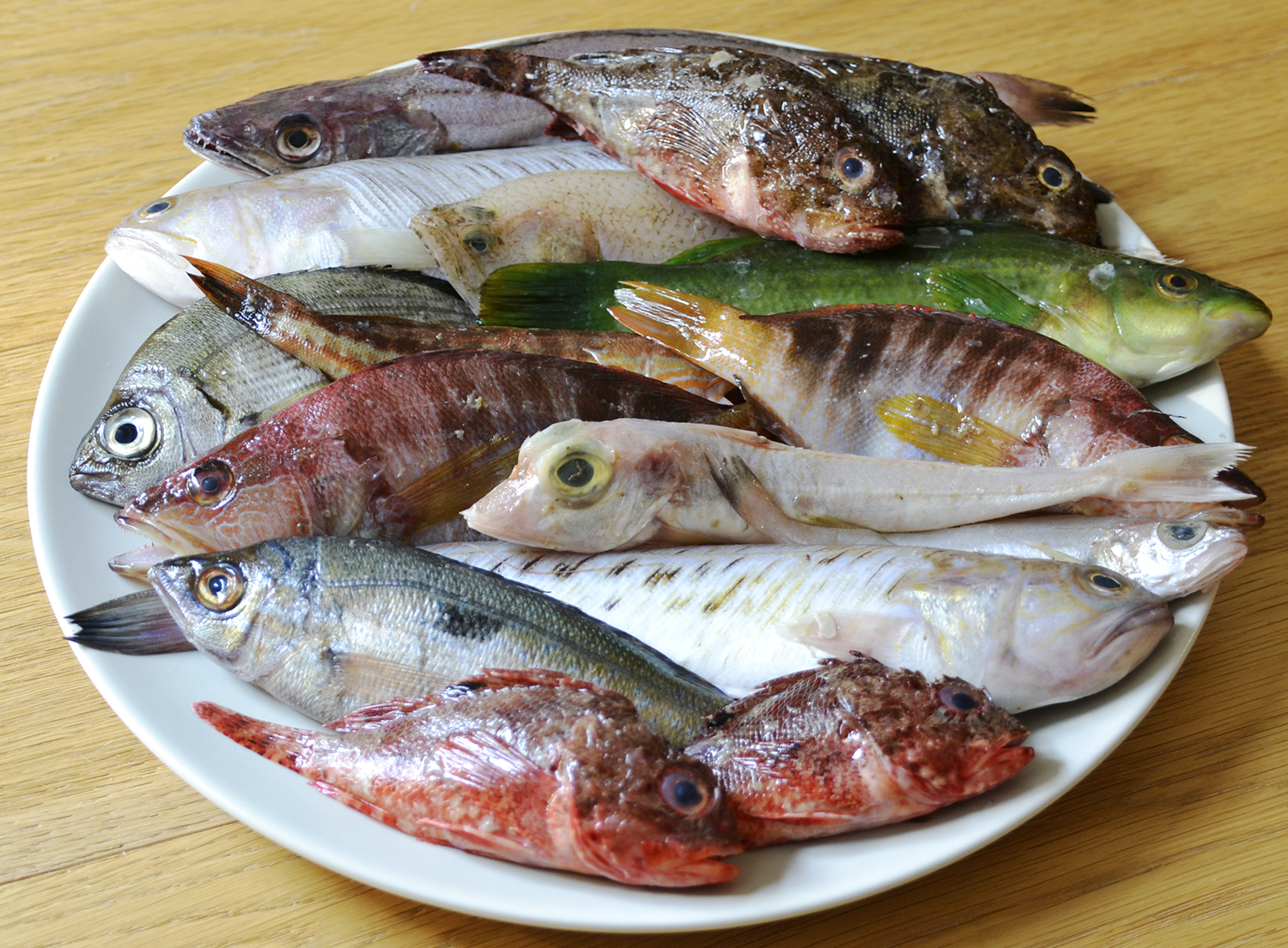 POVERIMABELLIEBUONI ELOGIO DELLA ZUPPA DI PESCE