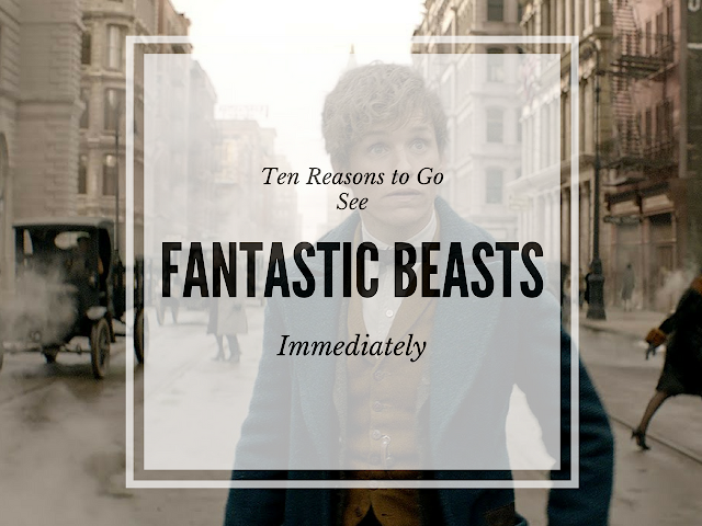 #fantasticbeasts #harrypotter #newtscamander #jkrowling