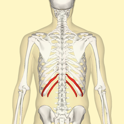 MT Endangerment Sites: 31. Floating Ribs