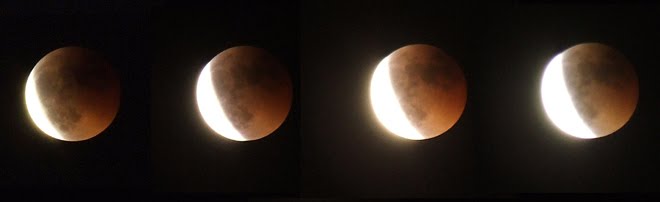 Fotografías del último eclipse lunar