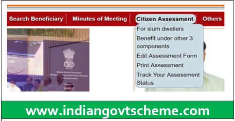 Citizen Assessment