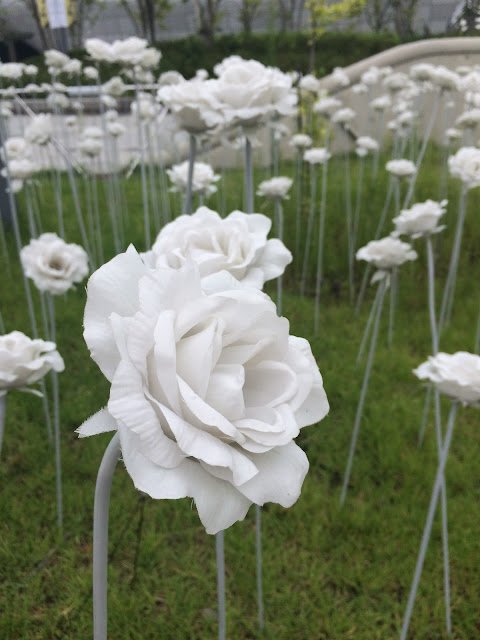 2015,summer 於是我就在韓國了 Day25