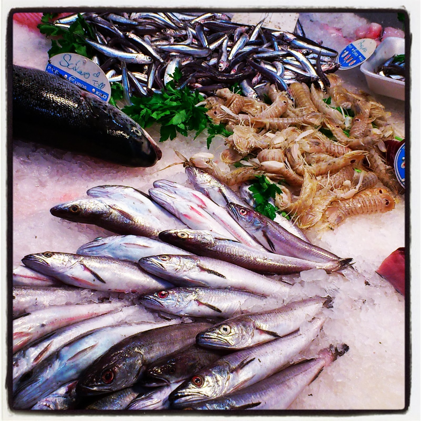 The Freshest Catch? Find Your Perfect Pescaderia Near You! - usfrv9z