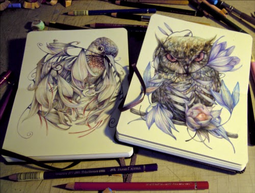 00-Marco-Mazzoni-Surreal-Animal-Drawings-www-designstack-co