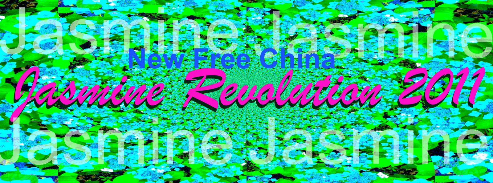 catastrophicarts Jasmine Revolution 2011