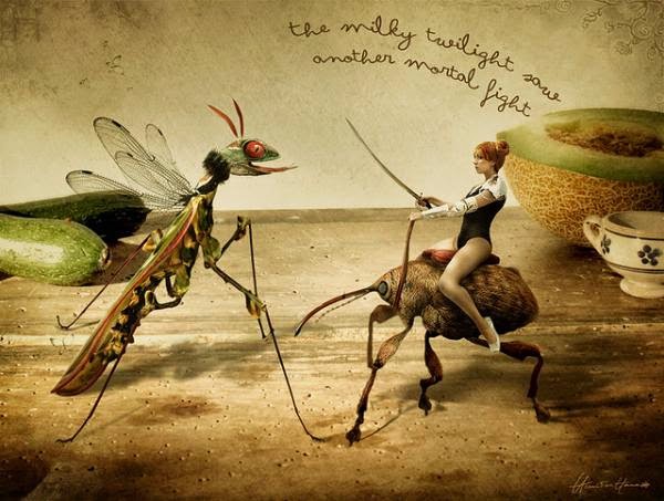 Photo Manipulations Photography by Chiara Fersini Photo Manipulations Photography by Chiara Fersini