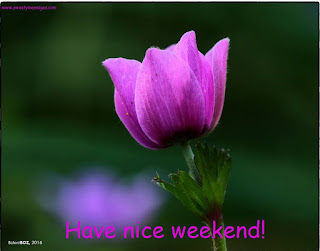 have a nice weekend