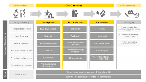 A Masterclass on Global Custom Development & Manufacturing Opportunity