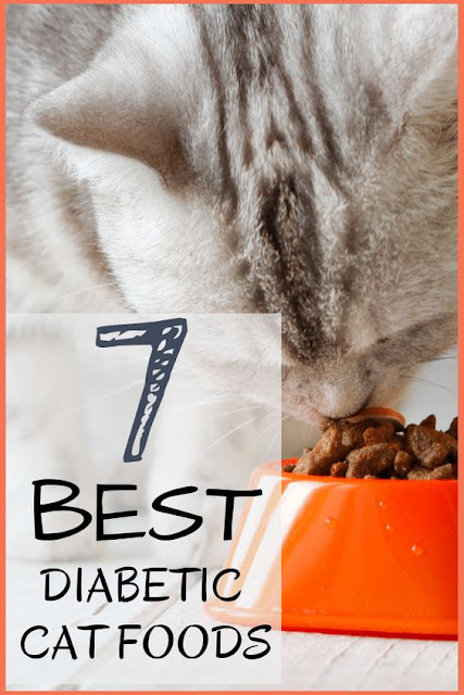 Treating Diabetic Cats