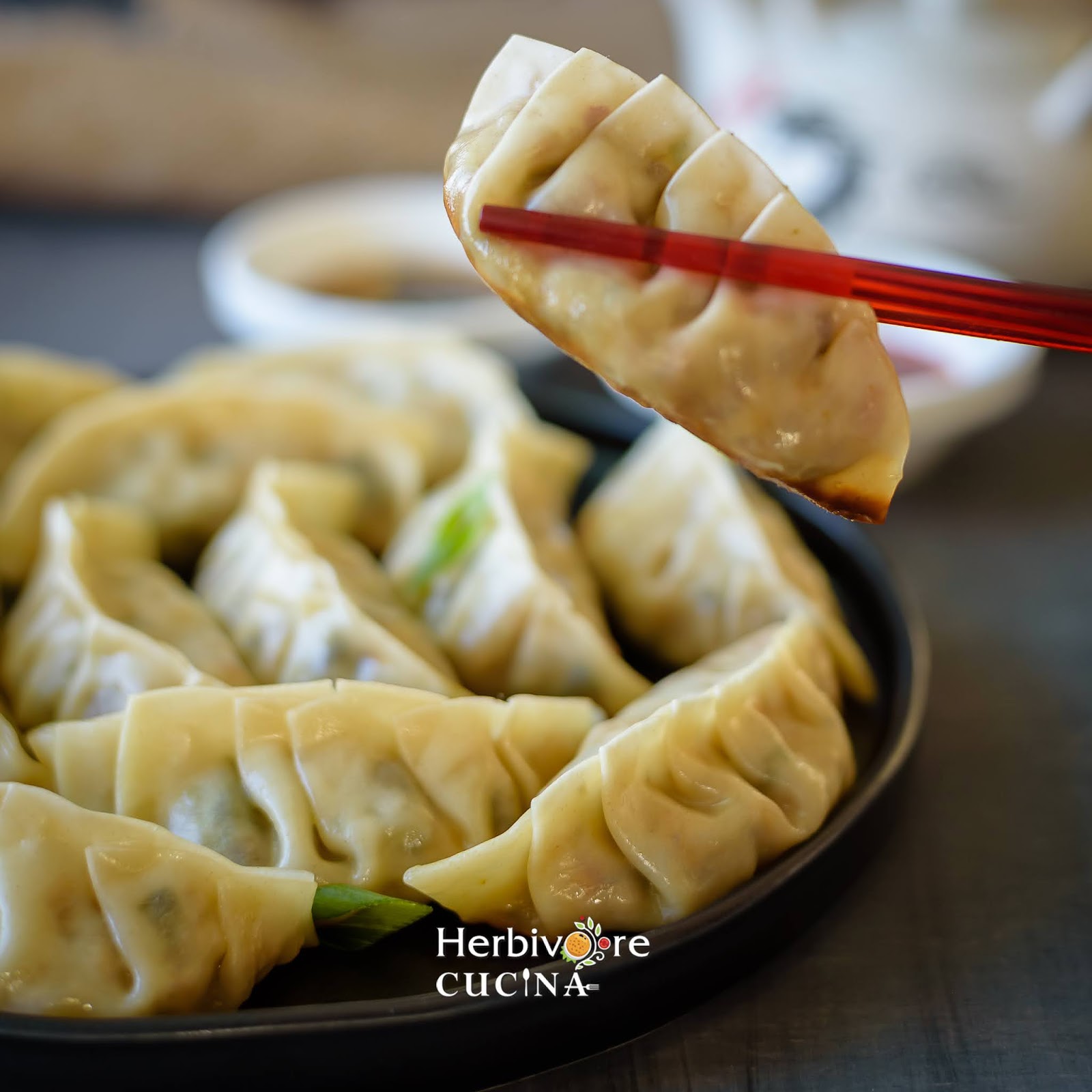 Herbivore Cucina Pan Fried Vegetable Dumplings