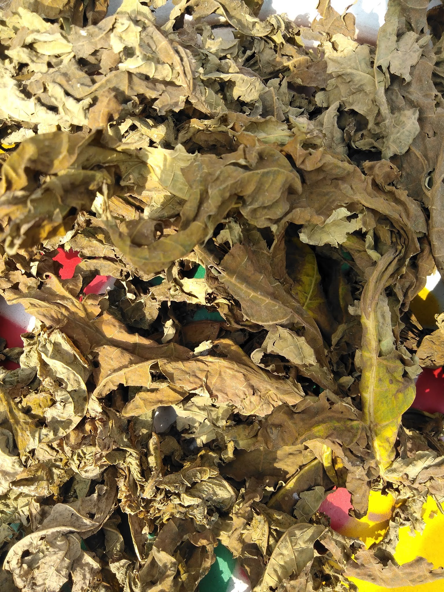 POULTRY ORGANIC TREATMENT (Pawpaw leave)