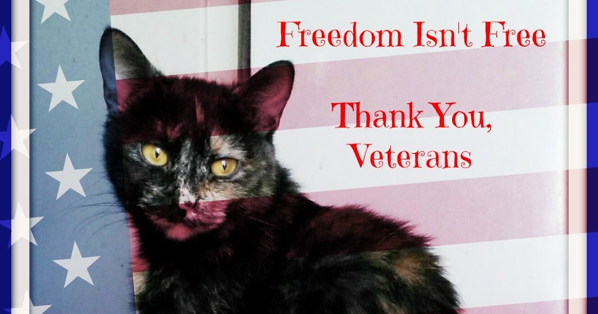 Melissa's Mochas, Mysteries and Meows: Veterans Day 2015