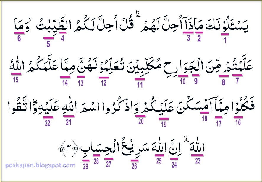 43++ Tajwid surat al maidah ayat 48 ideas in 2021 