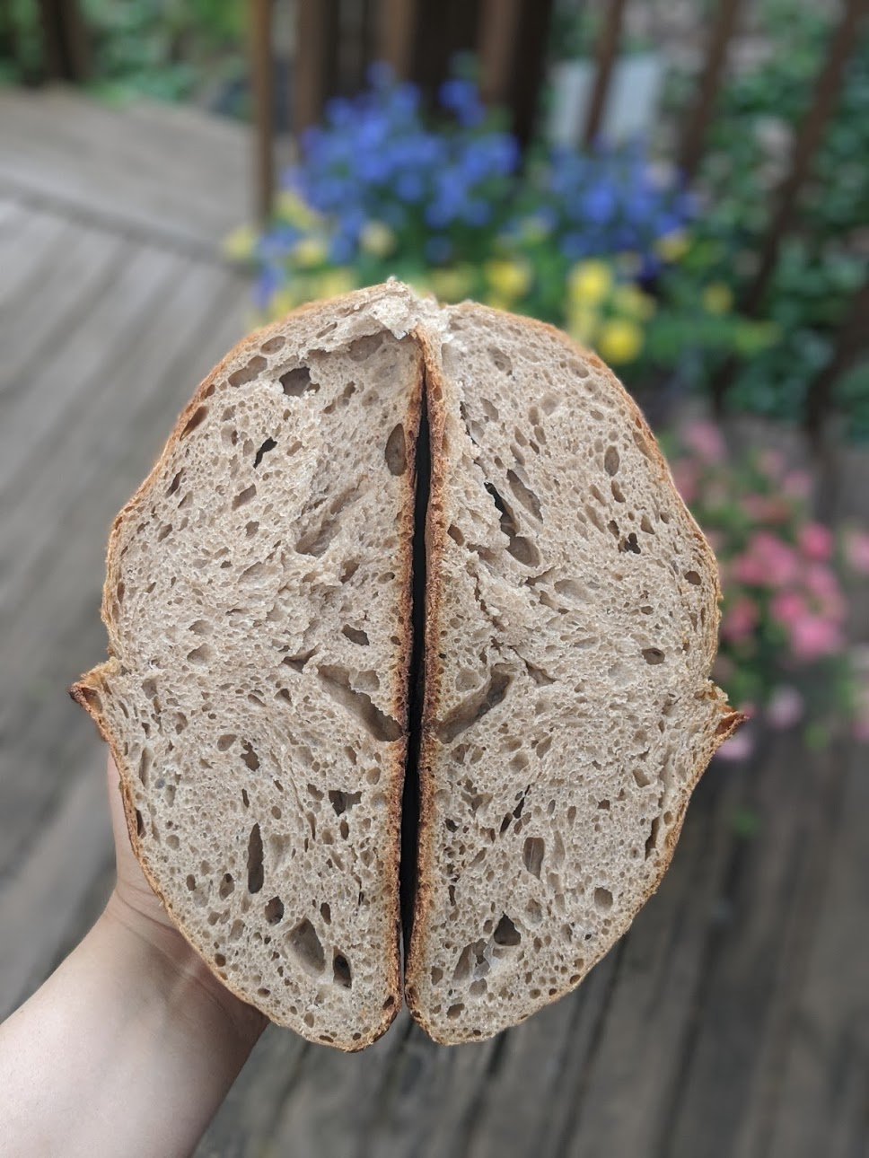 SLU Nutrition and Dietetics Internship Blog Sourdough Bread and Glycemic Index