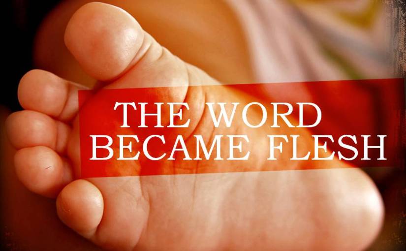 DEACON DAVE S BITE SIZE CATECHISM 8 FOUR REASONS WHY THE WORD BECAME DEACON DAVE S BITE SIZE CATECHISM 8 FOUR REASONS WHY THE WORD BECAME
