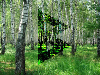 Руна Беркана