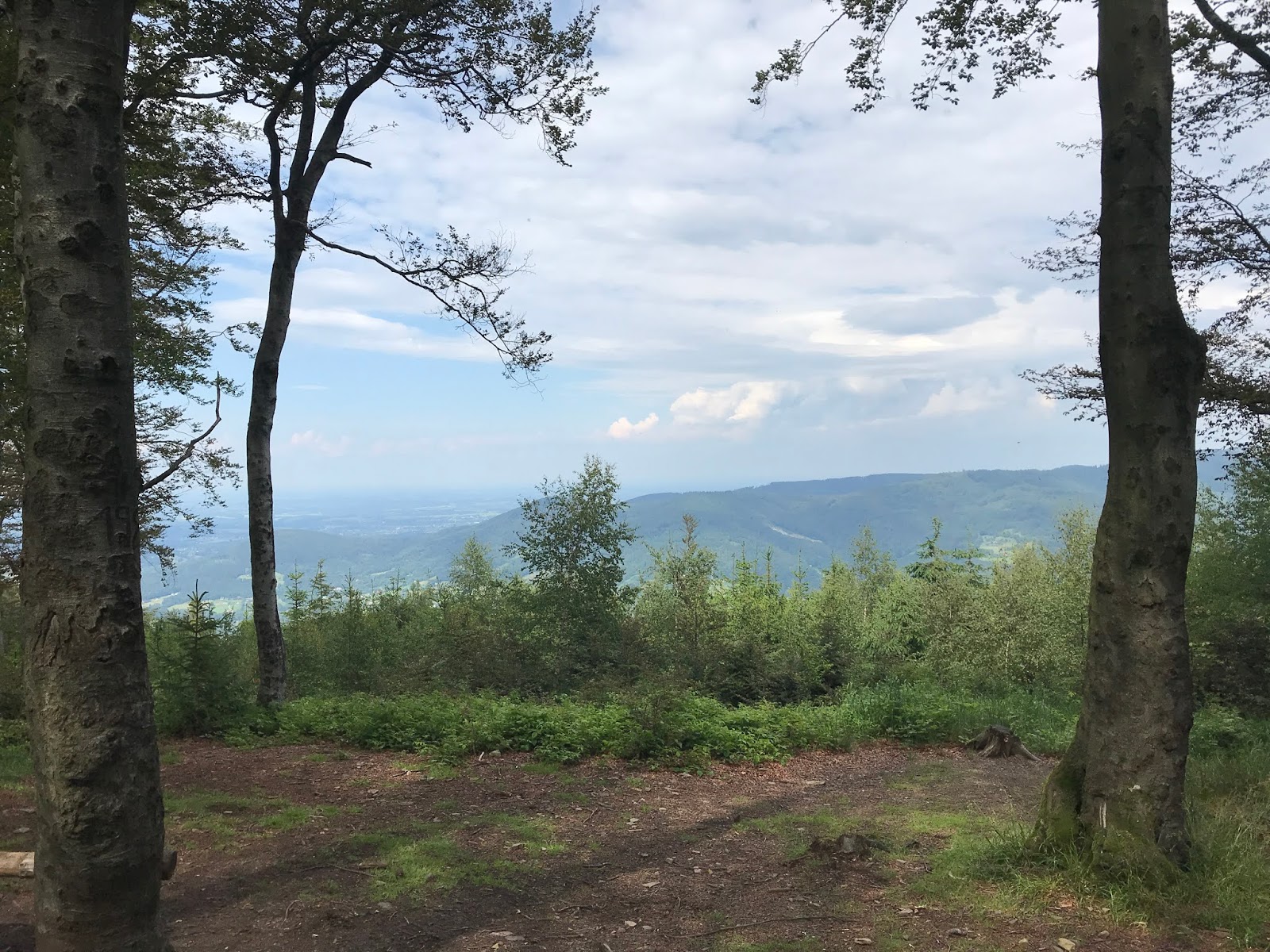 2020_06_27 Lipowski Groń Równica