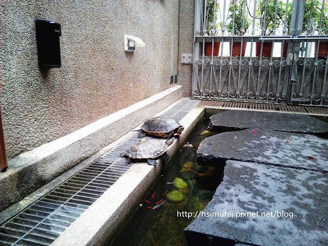 【臺南Ω中西區】赤崁璽樓|在融合洋房與日式舊建築的老屋中來場 【臺南Ω中西區】赤崁璽樓|在融合洋房與日式舊建築的老屋中來場