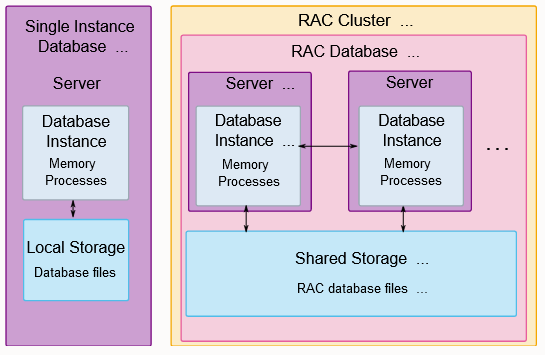 Network Management: Oracle 19c Installer: Root Equivalence Fails
