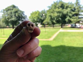 Skulferatu #45 - a photo of a small, ceramic skull being held up with trees and a grassy area in the background with some blurry and indistinct clothes poles.  Photo by Kevin Nosferatu for The Skulferatu Project.