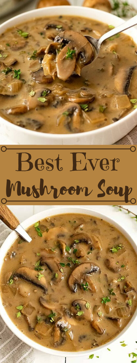 BEST EVER MUSHROOM SOUP #vegetable #mushroom #soup #food #recipes