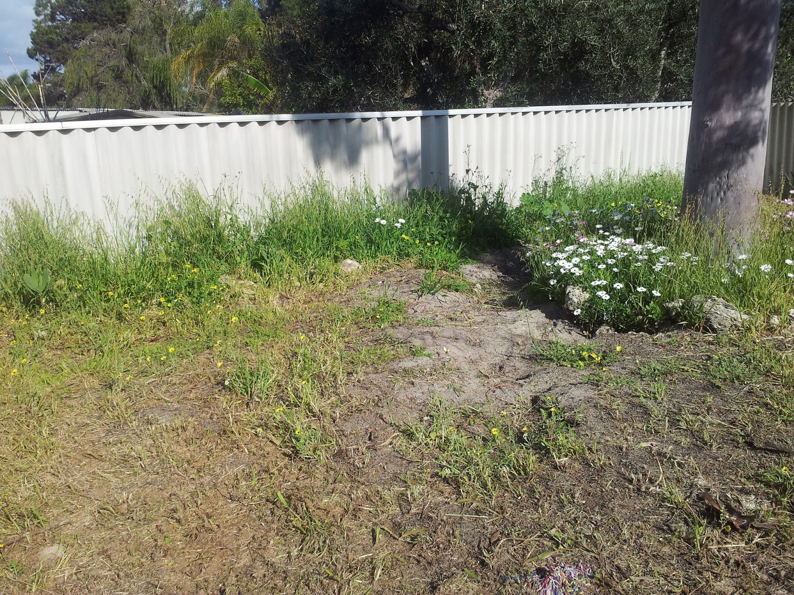 Jarrah Jungle: Tackling The Garden A Weed At A Time