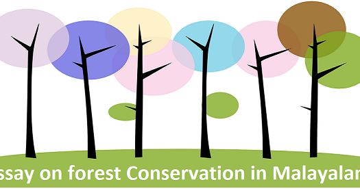 Importance of forest in malayalam image