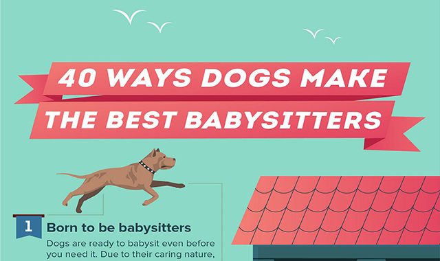 40 Ways Dogs Make the Best Babysitters 