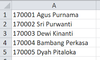 Data Text To Columns Fixed Width