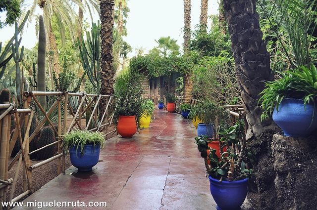 Jardines-Majorelle-visita