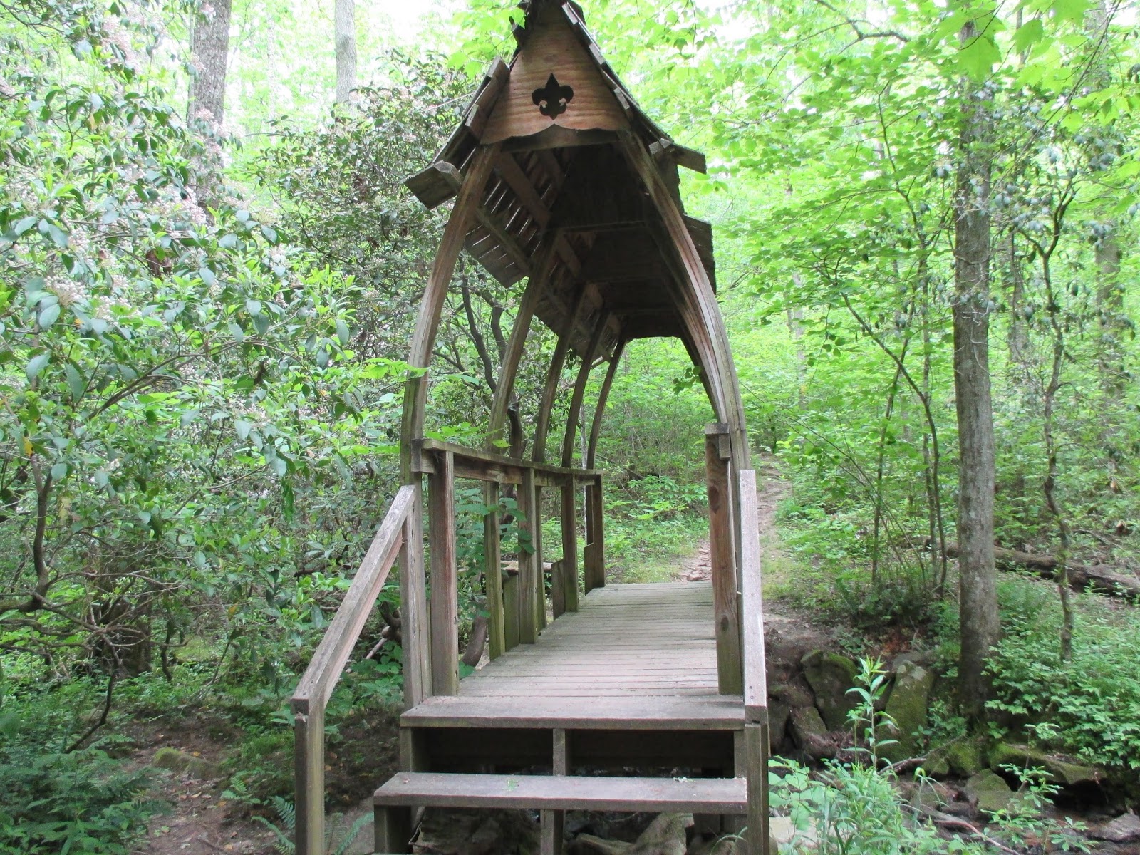 Craig's Hikes Cumberland Mountain State Park Overnight Trail