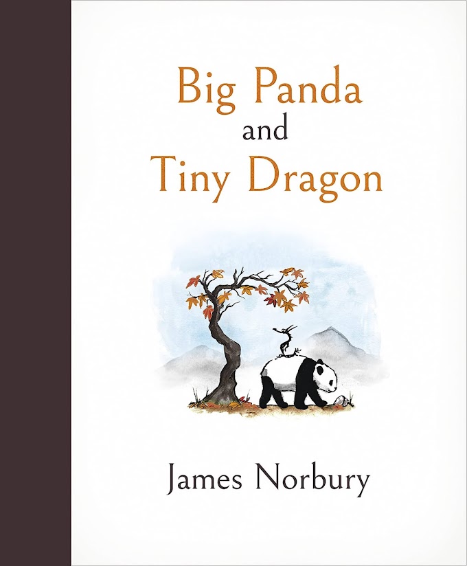 Book Review on Big Panda and Tiny Dragon