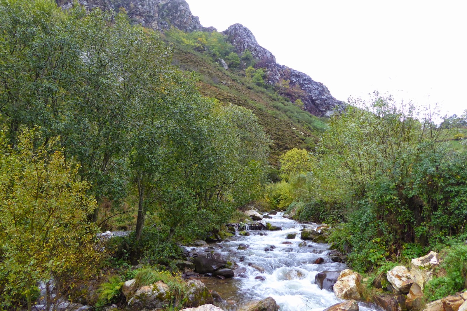 CAMINO AL ANDAR POR EL ALTO PIGÜEÑA