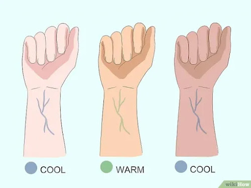 Foto by Wikihow