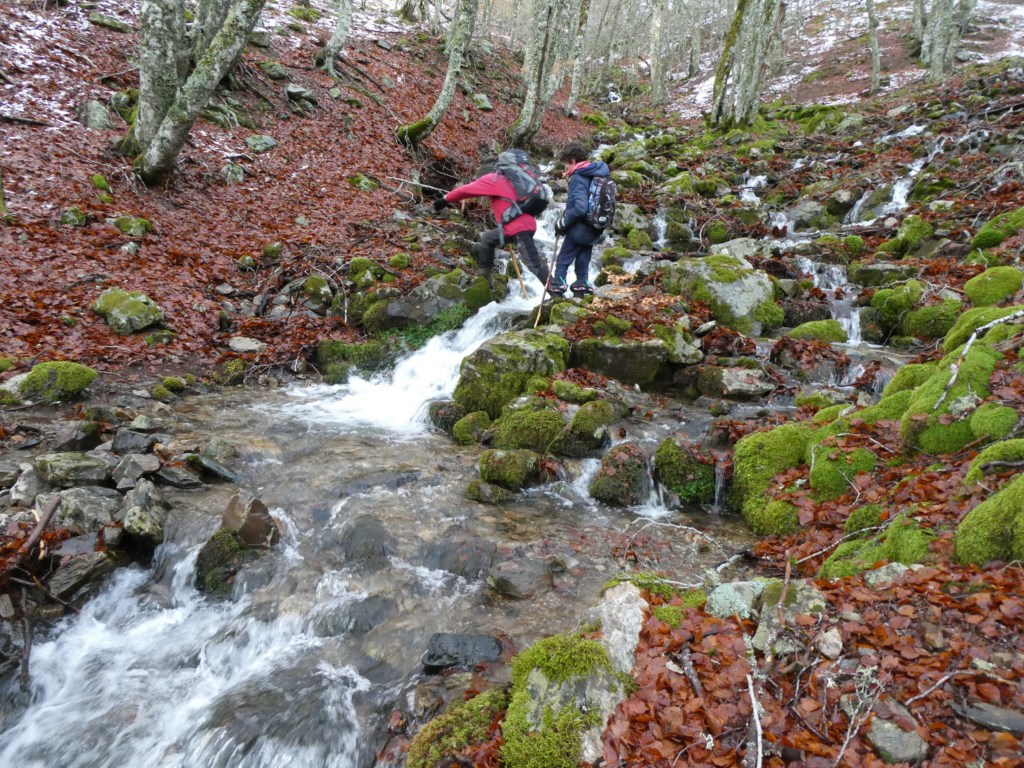PASEOS POR LAS MONTAÑAS: 357 - Pozo Negro de Otero (Sierra de la