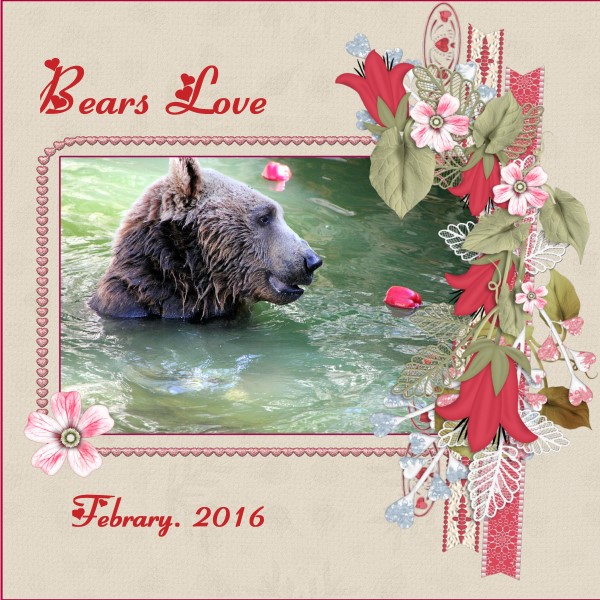 Feb.2016 - Bears Love