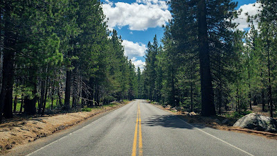 Road, Lanes, Trees, Forest, Nature
