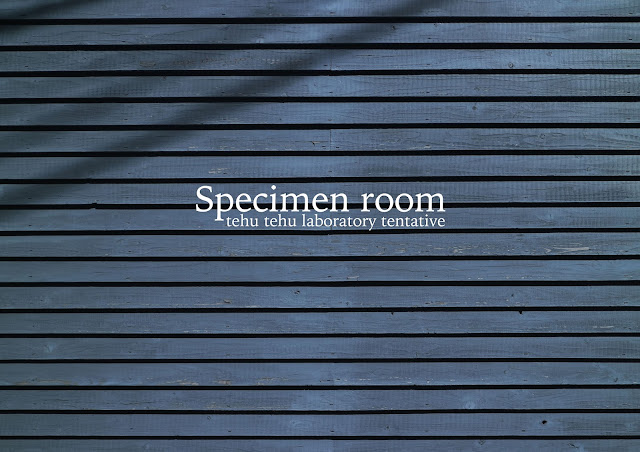 https://specimenroom.tehu-tehu.jp/