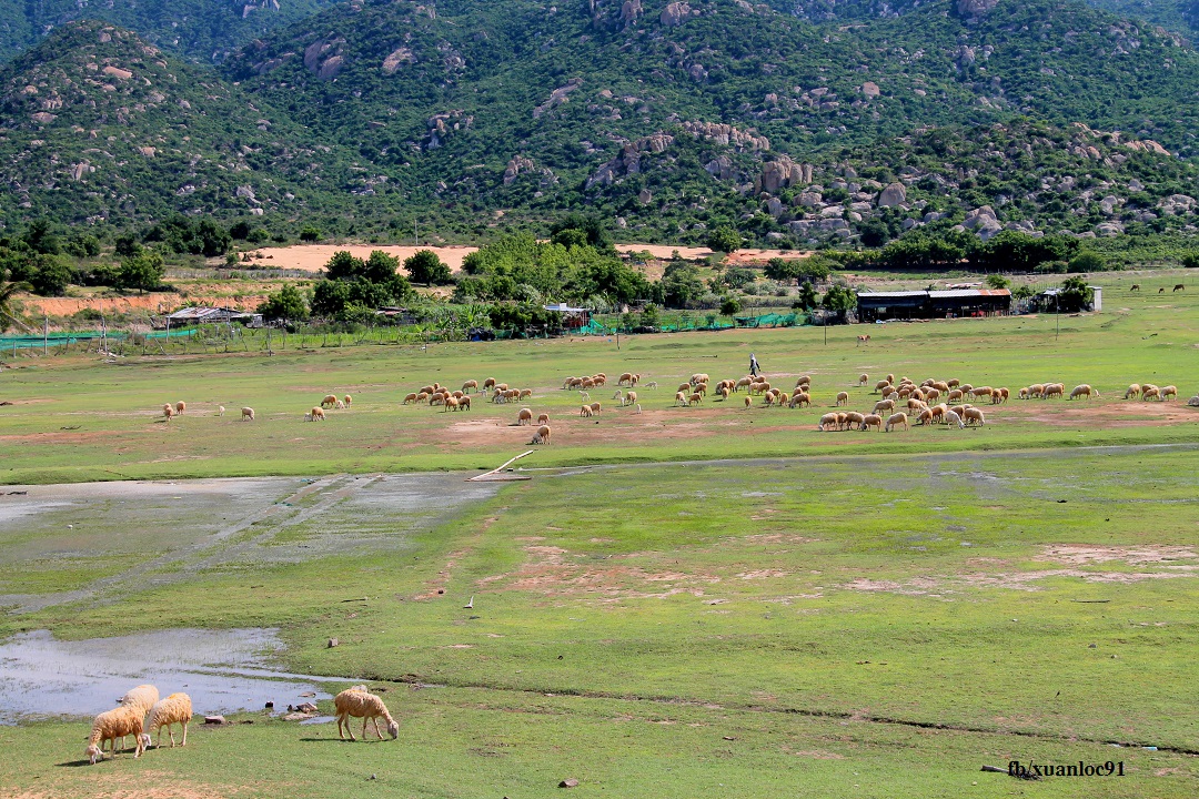 53 điểm du lịch Ninh Thuận, Phan Rang nổi tiếng nhất định phải đi một lần