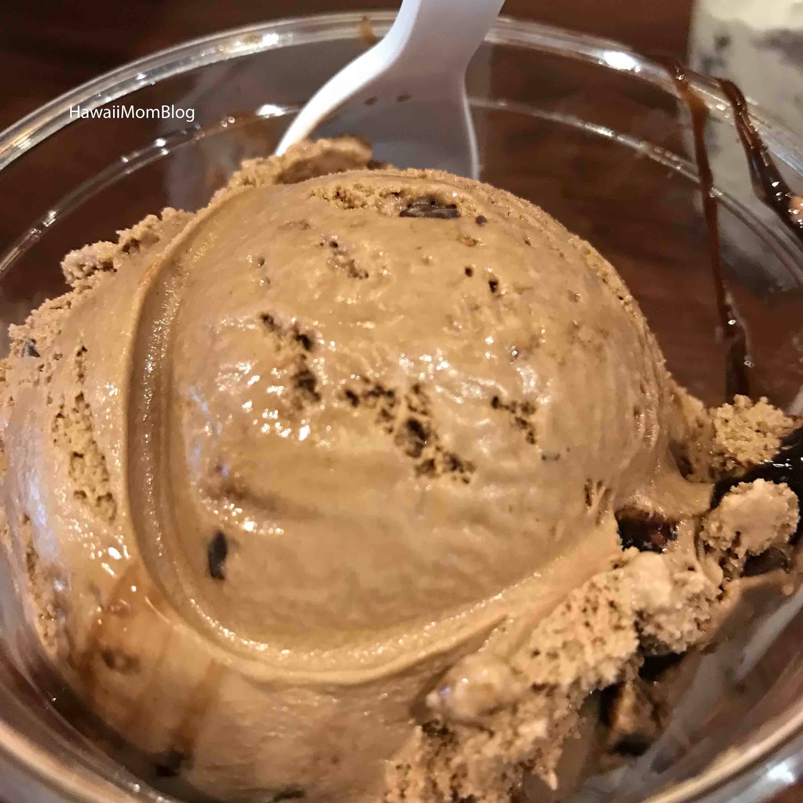 Hawaii Mom Blog Visit Nashville Mike's Ice Cream & Coffee Bar
