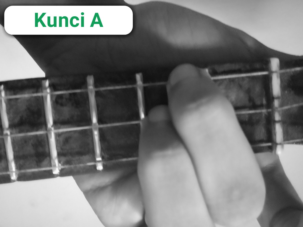 Belajar Kunci Dasar Ukulele Senar 3 Lengkap dengan Gambar Dardura