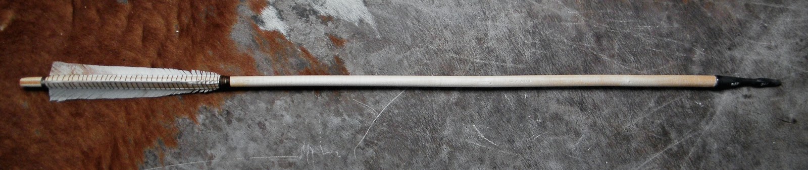 ARTICLE -WAR ARROW FROM ASH TREE ROOT SHOOT