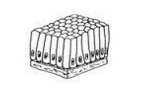 Jaringan Epitel Silindris Selapis