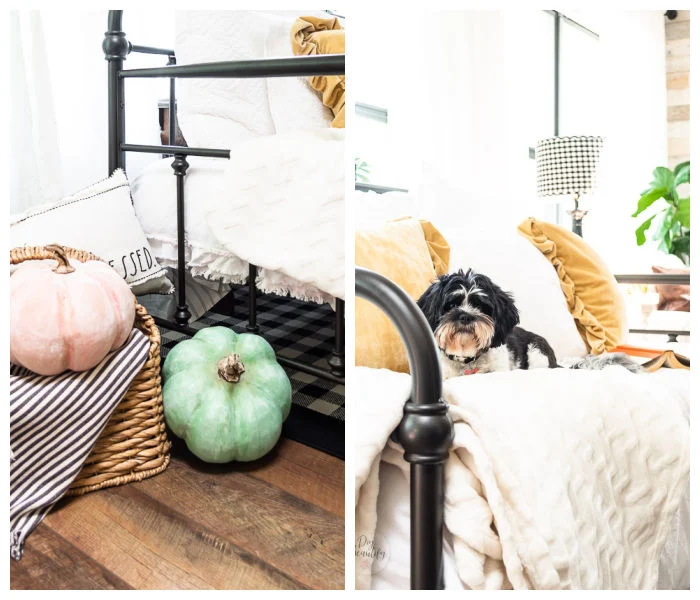 pumpkins in basket, vintage daybed with pillows, puppy