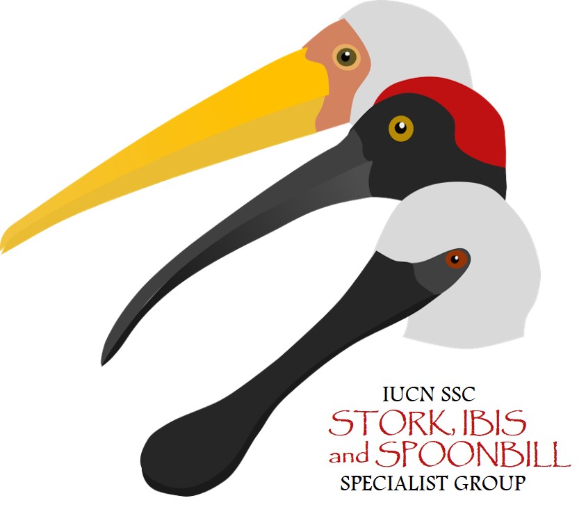 IUCN SSC Stork, Ibis and Spoonbill Specialist Group