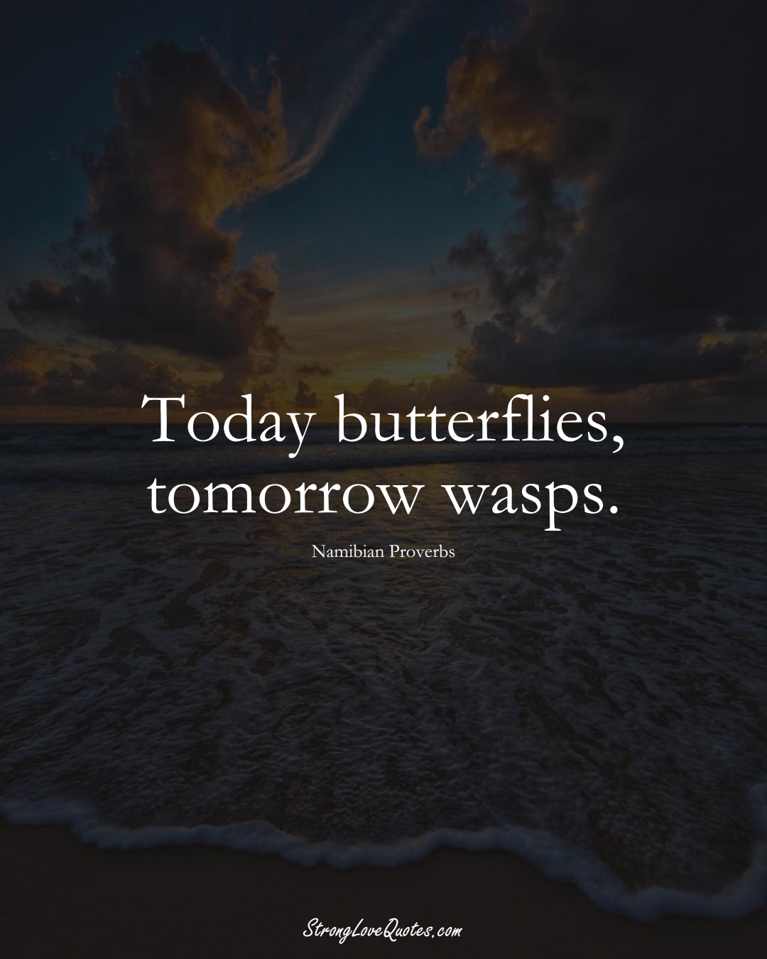 Today butterflies, tomorrow wasps. (Namibian Sayings);  #AfricanSayings