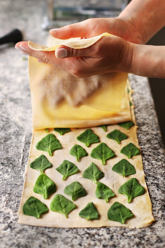 Laminated spinach pasta